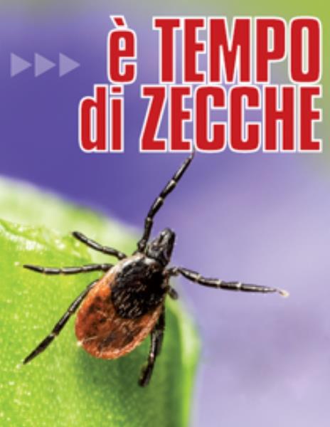 è tempo di zecche....